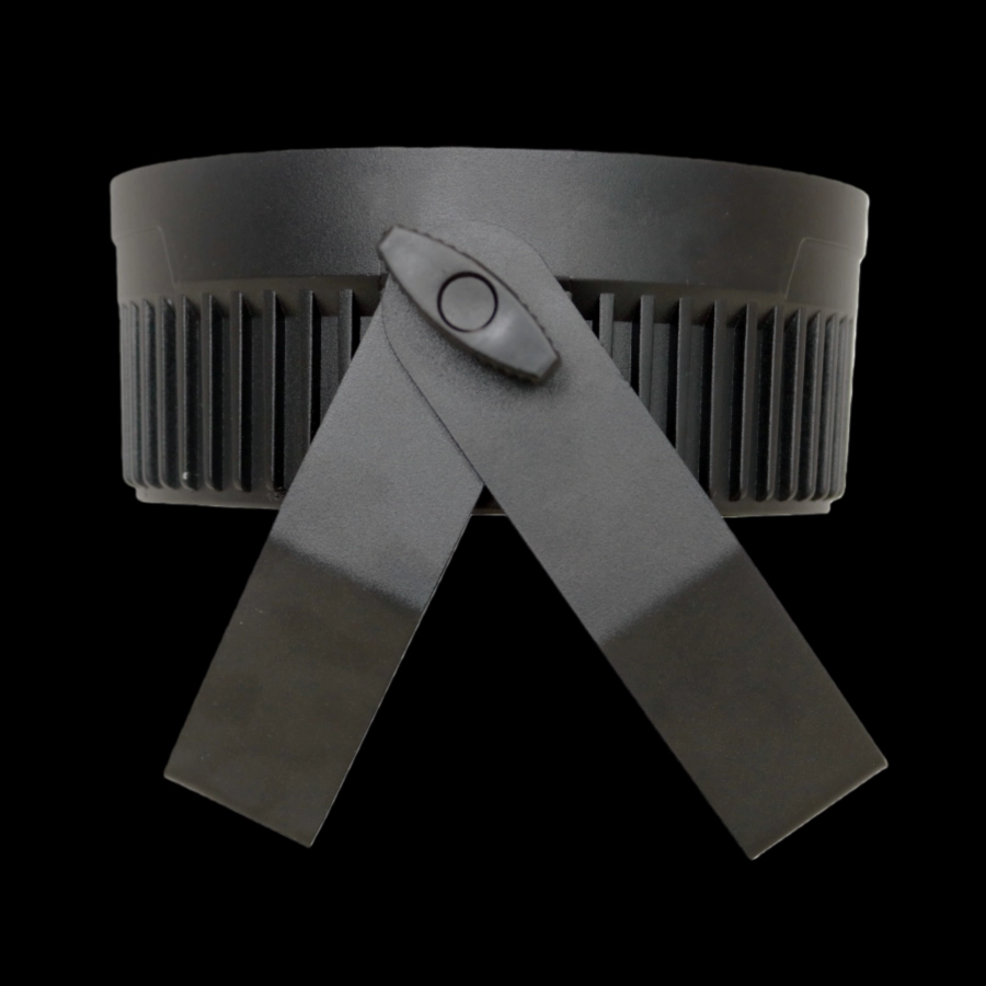 12x4in1 RGBW LED indoor par with IR remote control 5 - Uplus Lighting 12x4in1 RGBW LED indoor par with IR remote control 5 - Uplus Lighting