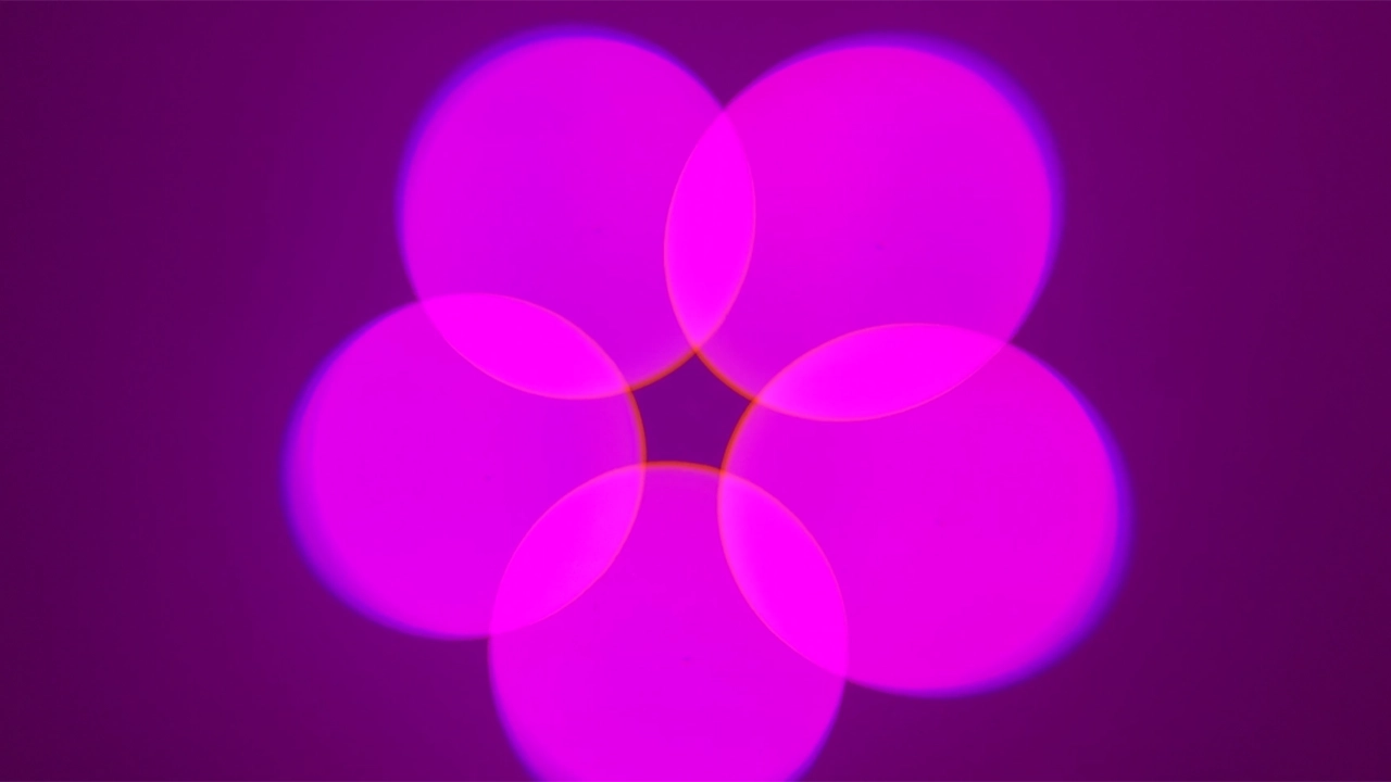 150 SPOT 6 - <span class="notranslate">Uplus Lighting</span>